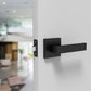 MEGA HANDLES ROBELL DOOR LEVER ENTRY HANDLE PASSAGE/PRIVACY/ENTRY/DUMMY